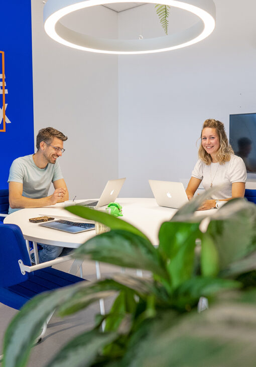 seo specialist ede